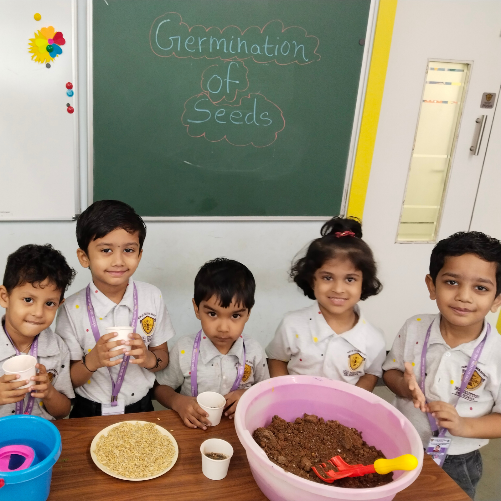 indo-scots-global-thane-Germination of seeds
